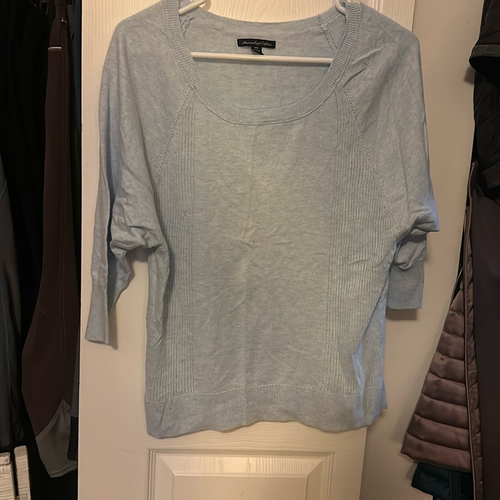 American Eagle Sweater with princess seams